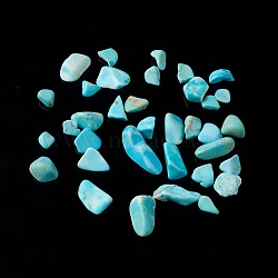 Natural Magnesite Chip Beads, Dyed & Heated, No Hole/Undrilled, 5~10.5x5~7x2~4mm(G-M364-09B)