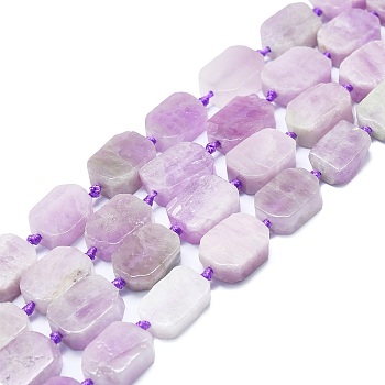 Natural Kunzite Beads Strands, Rectangle, 15~17x10~13x5~7mm, Hole: 1mm, about 22pcs/strand, 15.94''(40.5cm)