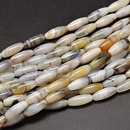Rice Natural Dendritic Agate Bead Strands, 20x8mm, Hole: 1.2mm, about 19pcs/strand, 15.1 inch(G-M257-20x8mm-18)