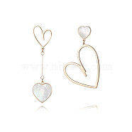 Heart Titanium Steel Dangle Earrings for Women(TF3740-1)