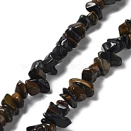 Natural Tiger Eye Chip Beads Strands, Mixed Dyed and Undyed, 1~8x5~17x5~8mm, Hole: 0.9~1mm, 30.31~31.50''(77~80cm)(G-M205-03A)