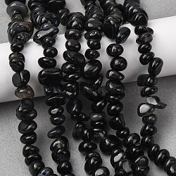 Natural Black Agate Beads Strands, Chip, Dyed & Heated, Tumbled Stone, 4.6~8x6.5~13.5x5.3~8mm, Hole: 1mm, 32.28''(82cm)(G-L655-A01-01A)
