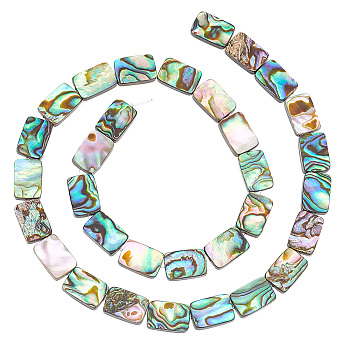 1 Strand Natural Abalone Shell/Paua Shell Beads Strands, Rectangle, 12x8x3mm, Hole: 0.5mm, about 33pcs/strand, 16''(40.64cm)