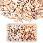 Natural Mixed Shell Beads, No Hole/Undrilled, Mixed Color, 12~20x5~12x5~10mm, about 320~350pcs/box(SSHEL-PH0002-53)