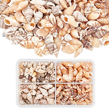 Natural Mixed Shell Beads, No Hole/Undrilled, Mixed Color, 12~20x5~12x5~10mm, about 320~350pcs/box