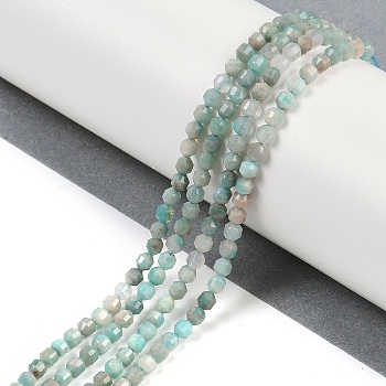 Natural Amazonite Beads Strands, Faceted, Bicone, Double Terminated Point Prism Beads, 4x3mm, Hole: 0.7mm, about 96pcs/strand, 15.35''(39cm)