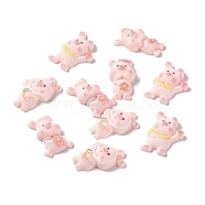 Opaque Resin Cabochons, DIY Accessories, Pig Mixed Shapes, Pink, 25~26x16~19x6mm(RESI-G031-13)