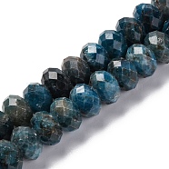 Natural Apatite Beads Strands, Faceted, Rondelle, 9.5~10x6~6.5mm, Hole: 1mm, about 59~60pcs/strand, 14.96''(38cm)(G-K380-A22-02)