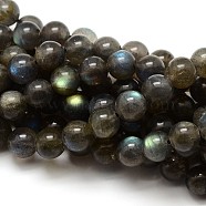 Grade AA Natural Gemstone Labradorite Round Beads Strands, 10mm, Hole: 1mm, about 38pcs/strand, 15.5 inch(G-E251-33-10mm)