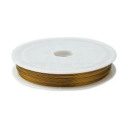 Tiger Tail Wire, Nylon-coated Stainless Steel Wire, Goldenrod, 25 Gauge(0.45mm), about 164.04 Feet(50m)/roll(L0.45mm07)