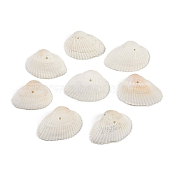 Natural Shell Beads, Shell Shape, White, 20~25x26~34x8~10mm, Hole: 1.5mm, about 454pcs/100g(SHEL-K009-15)