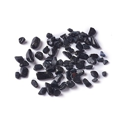 Natural Black Tourmaline Chip Beads, No Hole/Undrilled, 2~12x2~10x1~3mm, about 11200pcs/1000g(X-G-M364-16)
