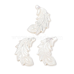 Natural White Shell Carved Pendants, Feather Charms, 26.5x22x2.5mm, Hole: 1mm(SSHEL-I026-06)