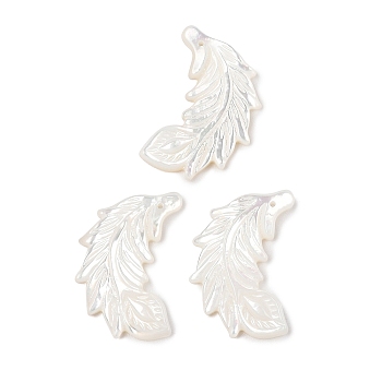 Natural White Shell Carved Pendants, Feather Charms, 26.5x22x2.5mm, Hole: 1mm