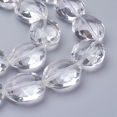 Glass Bead Strands(X-GLAA-R196-20x16mm-01)-3