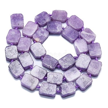 Natural Lepidolite/Purple Mica Stone Beads Strands(G-K245-J05-01)-2