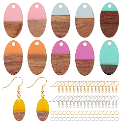DIY Dangle Earring Making Kits, Including Resin & Wood Pendants, Brass Earring Hooks & Jump Rings, Oval, Mixed Color, Pendants: 20x11x3.5mm, Hole: 1.8mm, 6 colors, 2pcs/color, 12pcs/box(DIY-OC0005-16)