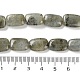 Natural Labradorite Beads Strands(G-K357-D16-01)-5