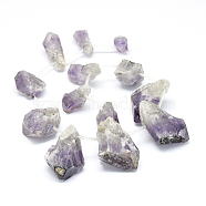 Natural Amethyst Beads Strands, Nuggets, 20~49x12~32mm, Hole: 0.5mm, about 13pcs/strand, 15.7 inch(40cm)(G-F632-04)