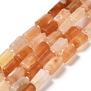 Natural Botswana Agate Beads Strands, with Seed Beads, Faceted, Column, 8.5~11x5.5~6.5mm, Hole: 1mm, about 14~15pcs/strand, 7.48''(19cm)(G-N327-06-31)