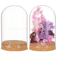 Glass Dome Cover, Decorative Display Case, Cloche Bell Jar Terrarium with Cork Base, Arch, Clear, 80x133mm(AJEW-WH0165-40D)