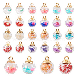 48Pcs 12 Styles Transparent Glass Globe Pendants, with Dried Flower Inside and Golden ABS Plastic Pendant Bails, Round, Mixed Color, 21~21.5x16mm, Hole: 2.2~2.5mm, 4Pcs/style(GLAA-TA0001-30)