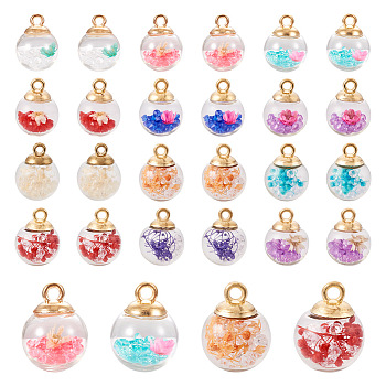 48Pcs 12 Styles Transparent Glass Globe Pendants, with Dried Flower Inside and Golden ABS Plastic Pendant Bails, Round, Mixed Color, 21~21.5x16mm, Hole: 2.2~2.5mm, 4Pcs/style
