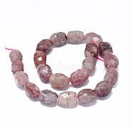 Natural Strawberry Quartz Beads Strands, Faceted, Oval, 18~20.5x13~14mm, Hole: 1.2mm, about 21pcs/strand, 15.6 inch(39.8cm)(G-F632-19)