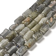 Natural Labradorite Beads Strands, with Seed Beads, Faceted, Column, 8.5~11x5.5~6.5mm, Hole: 1mm, about 14~15pcs/strand, 7.48''(19cm)(G-N327-06-06)