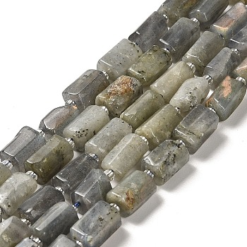 Natural Labradorite Beads Strands, with Seed Beads, Faceted, Column, 8.5~11x5.5~6.5mm, Hole: 1mm, about 14~15pcs/strand, 7.48''(19cm)