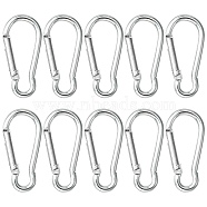 Aluminum Rock Climbing Carabiners, Key Clasps, with Iron Findings, Stainless Steel Color, 48~48.5x22.5~23x6mm(IFIN-YW0003-28)