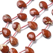 Natural Red Jasper Beads Strands, Faceted, Teardrop, with Tube Beads, Top Drilled, 14x10.5x4~4.5mm, Hole: 0.5mm, about 24pcs/strand, 16.26''(41.3cm)(G-K382-C04-01)