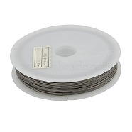 Tiger Tail Wire, Nylon-coated Stainless Steel, Silver-Gray, 0.35mm in diameter, about 164.04 Feet(50m)/roll(X-L0.35MM01)