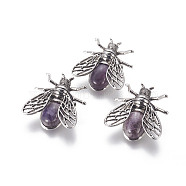 Natural Amethyst Brooches, with Brass Findings, Cicada, Antique Silver, 38x36x8mm, Pin: 0.6mm(G-A176-D04)