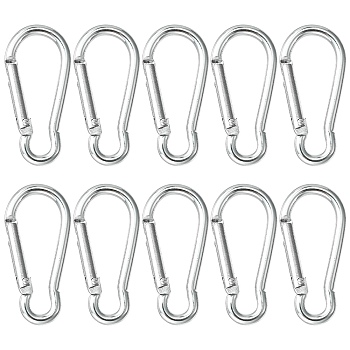 Aluminum Rock Climbing Carabiners, Key Clasps, with Iron Findings, Stainless Steel Color, 48~48.5x22.5~23x6mm