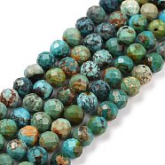 Natural HuBei Turquoise Beads Strands, Faceted, Round, 6mm, Hole: 0.9mm, about 68pcs/strand, 15.35 inch(39cm)(G-C009-A16)