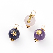 Natural Rose Quartz & Amethyst & Lapis Lazuli Pendants, with Golden Plated Alloy Cabochons & Spacer Beads, Brass Ball Head Pins, with Starfish & Sea Horse & Scallop Shell Shape, Round, 17.5x10.5x11~11.5mm, Hole: 3mm, 3pcs/set(PALLOY-JF00591)