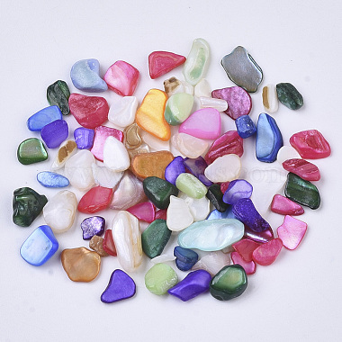 Natural Freshwater Shell Beads(SHEL-N003-03)-2