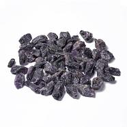 Rough Raw Natural Amethyst Beads, for Tumbling, Decoration, Polishing, Wire Wrapping, Wicca & Reiki Crystal Healing, No Hole/Undrilled, Nuggets, 30~50x22~28x15~23mm, about 50pcs/1000g(G-F710-05)