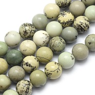 Natural Dendritic Jasper Beads Strands, Round, 8mm, Hole: 1.2mm, about 46pcs/strand, 15.15 inch(38.5cm)(X-G-E501-8mm-01)