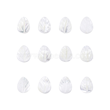 Seashell Color Leaf Other Sea Shell Beads