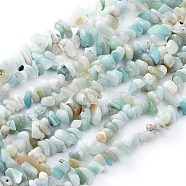 Natural Gemstone Bead Strand, Flower Amazonite Chip Beads, 5-8mm wide, Each strand measure about 32~32.5 inch long, hole: about 0.3mm(F031)