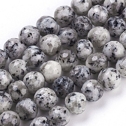 Faceted Round Natural Agate Beads Strands, Dyed, Dark Gray, 8mm, Hole: 1.5mm, about 45pcs/strand, 14.9 inch(G-S133-07)