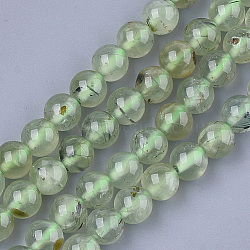 Natural Prehnite Beads Strands, Round, 6mm, Hole: 0.8mm, about 62~65pcs/strand, 15.3 inch(G-S333-6mm-032)