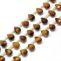 Natural Tiger Eye Beads Strands, Top Drilled Beads, Faceted Teardrop, 13~14x10~11mm, Hole: 1mm, about 28pcs/strand, 15.7 inch(G-R435-15E)