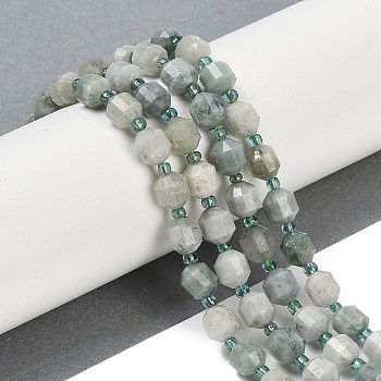 Natural Myanmar Jade Beads Strands, Faceted, Bicone, Double Terminated Point Prism Beads, 8x7mm, Hole: 1.2mm, about 40pcs/strand, 15.16''(38.5cm)