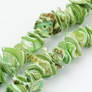 Natural Shell Bead Strands, Dyed, Nuggets, Lime, 10~20x8~12x3~6mm, Hole: 1mm, about 15.7 inch