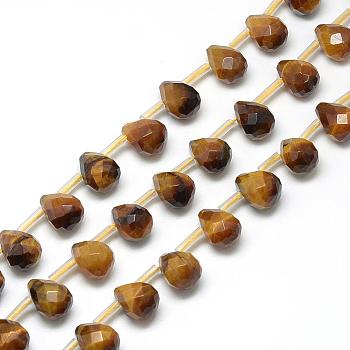 Natural Tiger Eye Beads Strands, Top Drilled Beads, Faceted Teardrop, 13~14x10~11mm, Hole: 1mm, about 28pcs/strand, 15.7 inch