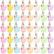 40Pcs 8 Colors Transparent Resin Pendants, Duck Charms with Crown, with Stainless Steel Color Plated 304 Stainless Steel Loops, Mixed Color, 23x17x13mm, Hole: 2mm, 5pcs/color(RESI-SZ0003-27)