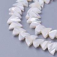 Shell Beads Strands, Triangle, 5.7~8.1x11~12x3~3.3mm, Hole: 0.7mm, about 62pcs/strand, 15.9 inch(40.4cm)(SSHEL-E571-28B)